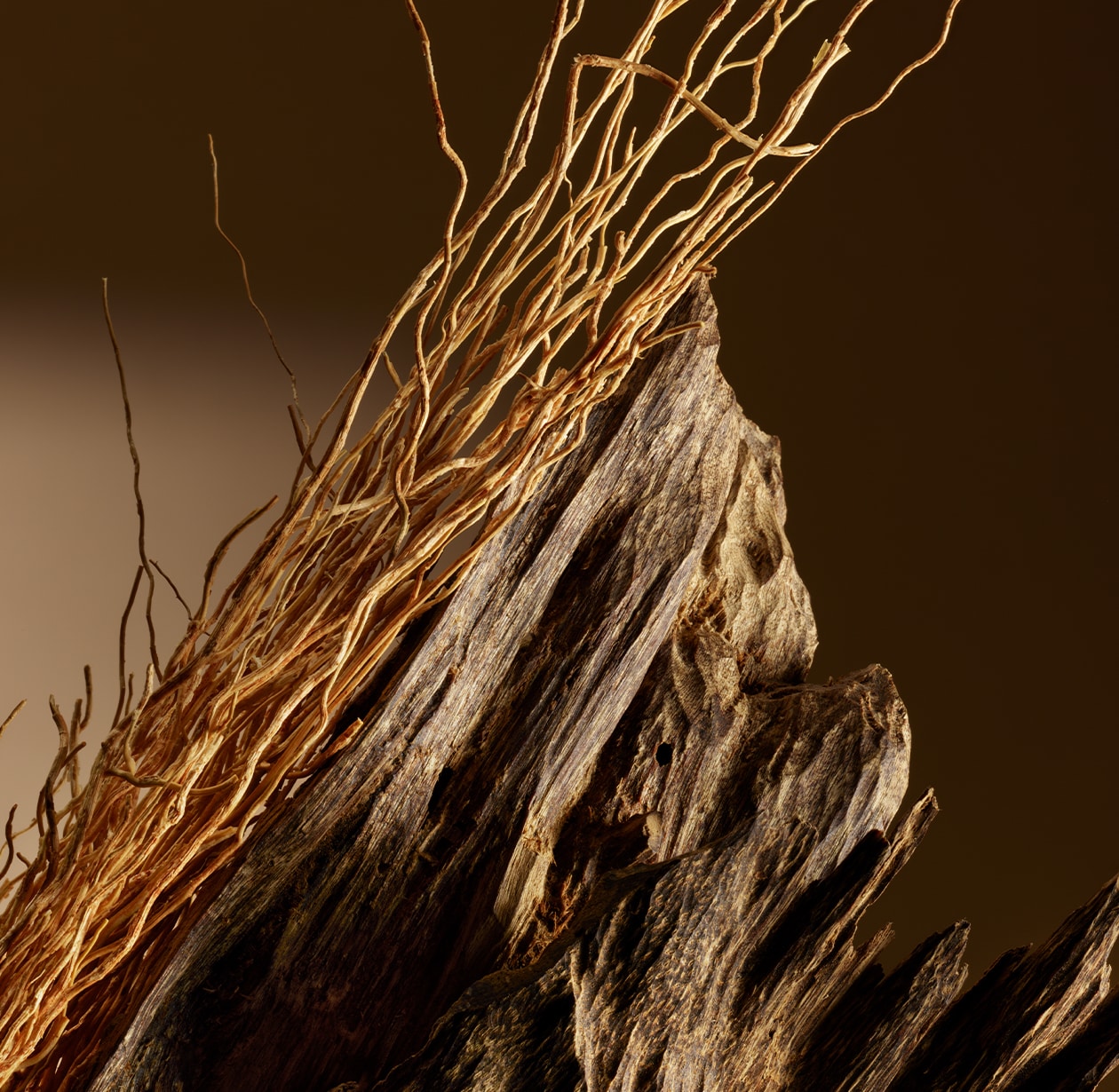 HOPE by Dominique Ropion, HOPE, 50 ml Spray